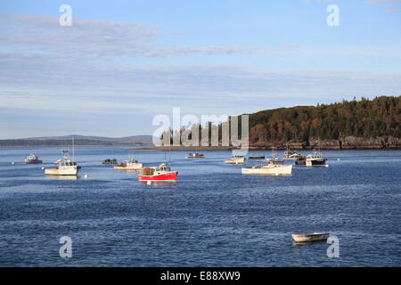 Angelboote/Fischerboote, Bar Harbor, Mount Desert Island, Maine, New England, Vereinigte Staaten von Amerika, Nordamerika Stockfoto