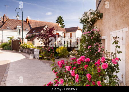 Das Dorf Chedigny, Indre-et-Loire, Centre, Frankreich Stockfoto