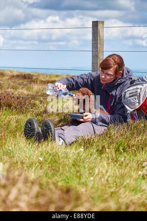 Eine weibliche Wanderer, füttern ihren Hund auf einem Spaziergang in der Natur. Stockfoto