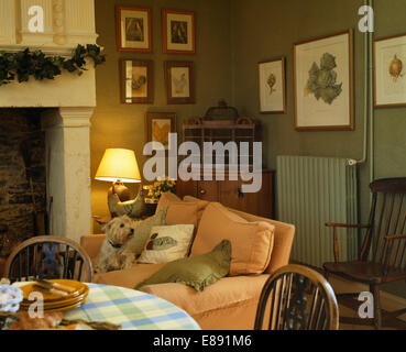 West Highland Terrier auf Pfirsich Sofa im französischen Land Speisesaal mit beleuchteten Lampe am Kamin sitzen Stockfoto