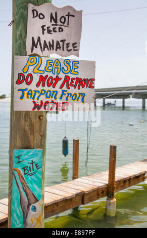 Tarpon Fütterung Zeichen an Robbies Islamorada in den Florida Keys Stockfoto