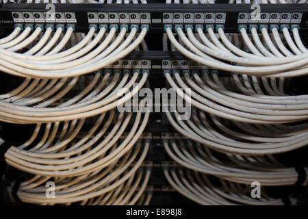 Dubai, Vereinigte Arabische Emirate, MFS Kabel in einem Rechenzentrum Stockfoto