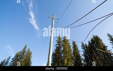 Defekte finnische Stromleitungen am Stromnetz nach Sturm, Finnland Stockfoto