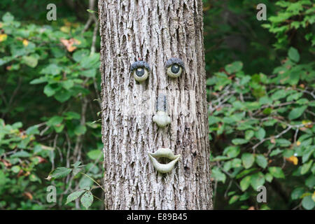 Gesichtszüge zu Baumstamm befestigt wie ein menschliches Gesicht erscheinen Stockfoto