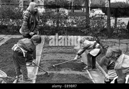 Berlin, DDR, Kinder im Vorschulalter und Lehrer arbeiten im Garten im Garten Schule Stockfoto