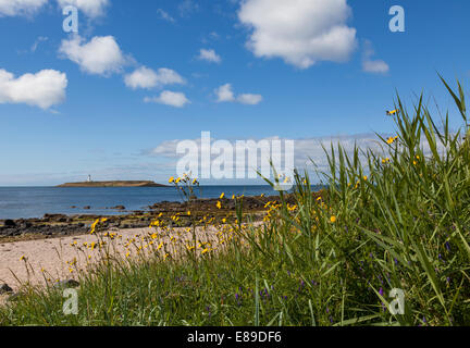 Blick auf Pladda Sound-Insel mit Leuchtturm Stockfoto