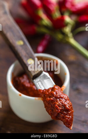 Harissa, tunesische scharfe rote Soße oder Paste aus Chili peppers Stockfoto