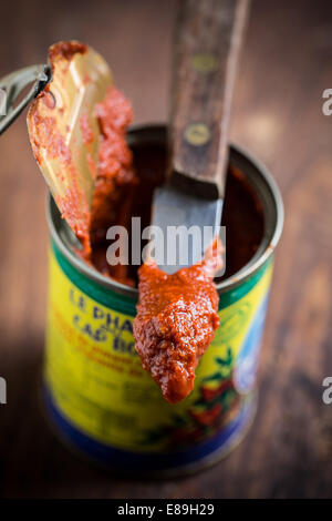 Harissa, tunesische scharfe rote Soße oder Paste aus Chili peppers Stockfoto