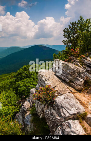 Ansicht der Appalachen vom Gipfel des Tibbet Drehknopf an der Virginia-West Virginia Grenze in George Washington National Fore Stockfoto