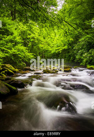 Kaskaden im Fluss Oconaluftee, an großen Smoky Mountains National Park, North Carolina. Stockfoto