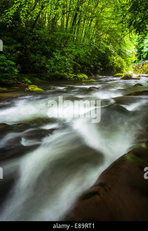 Kaskaden im Fluss Oconaluftee, an großen Smoky Mountains National Park, North Carolina. Stockfoto