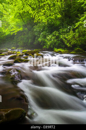 Kaskaden im Fluss Oconaluftee, an großen Smoky Mountains National Park, North Carolina. Stockfoto