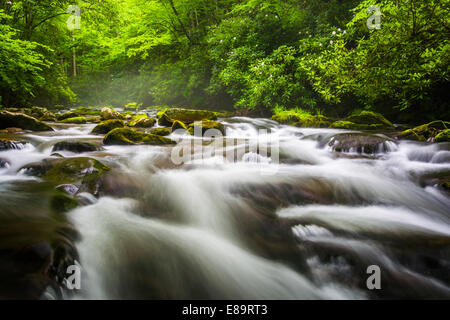 Kaskaden im Fluss Oconaluftee, an großen Smoky Mountains National Park, North Carolina. Stockfoto