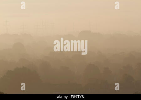 Wimbledon, London, UK. 3. Oktober 2014. Am frühen Morgennebel deckt Baumlandschaft in Wimbledon South west London bei Sonnenaufgang Credit: Amer Ghazzal/Alamy Live-Nachrichten Stockfoto