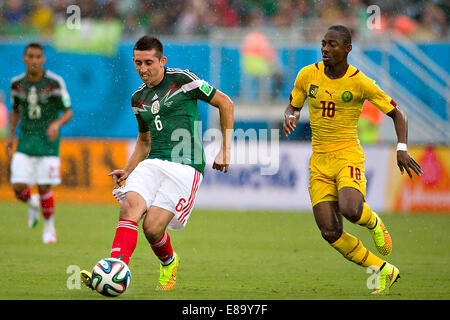 Foto de Accion Durante el Partido Mexiko Vs Kamerun, Partido Numero 2 del Grupo A En el Mundial de Futbol Brasil 2014, de la Fot Stockfoto