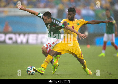 Foto de Accion Durante el Partido Mexiko Vs Kamerun, Partido Numero 2 del Grupo A En el Mundial de Futbol Brasil 2014, de la Fot Stockfoto