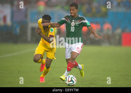 Foto de Accion Durante el Partido Mexiko Vs Kamerun, Partido Numero 2 del Grupo A En el Mundial de Futbol Brasil 2014, de la Fot Stockfoto