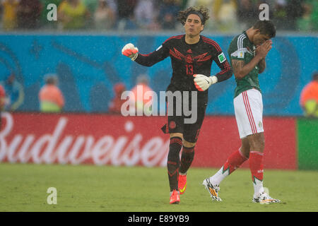 Foto de Accion Durante el Partido Mexiko Vs Kamerun, Partido Numero 2 del Grupo A En el Mundial de Futbol Brasil 2014, de la Fot Stockfoto