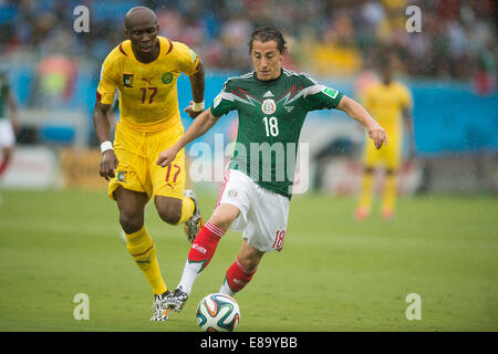 Foto de Accion Durante el Partido Mexiko Vs Kamerun, Partido Numero 2 del Grupo A En el Mundial de Futbol Brasil 2014, de la Fot Stockfoto