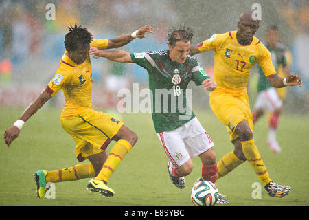 Foto de Accion Durante el Partido Mexiko Vs Kamerun, Partido Numero 2 del Grupo A En el Mundial de Futbol Brasil 2014, de la Fot Stockfoto