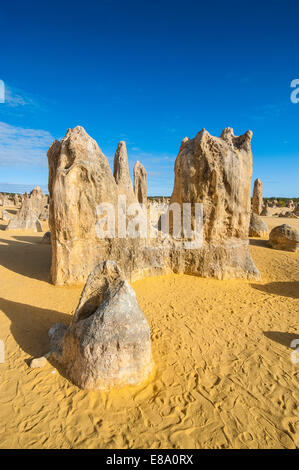 Die Pinnacles Kalkstein-Formationen, Nambung National Park, Western Australia Stockfoto