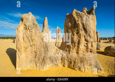 Die Pinnacles Kalkstein-Formationen, Nambung National Park, Western Australia Stockfoto