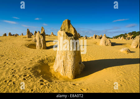 Die Pinnacles Kalkstein-Formationen, Nambung National Park, Western Australia Stockfoto