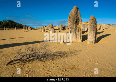 Die Pinnacles Kalkstein-Formationen, Nambung National Park, Western Australia Stockfoto