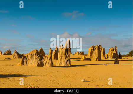Die Pinnacles Kalkstein-Formationen, Nambung National Park, Western Australia Stockfoto