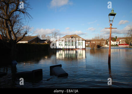 Überschwemmungen in Laleham, in der Nähe von Chertsey Surrey UK 2014 Stockfoto