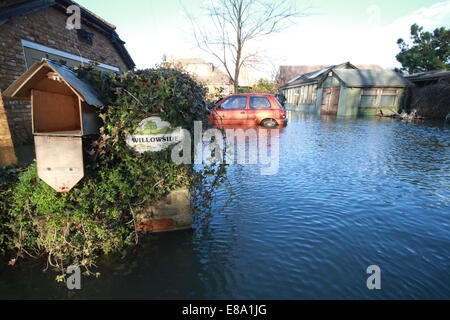 Überschwemmungen in Laleham, in der Nähe von Chertsey Surrey UK 2014 Stockfoto