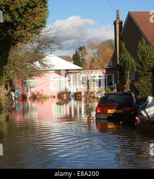 Überschwemmungen in Laleham, in der Nähe von Chertsey Surrey UK 2014 Stockfoto