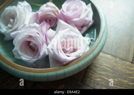 Rosen in Keramikschale, Nahaufnahme Stockfoto