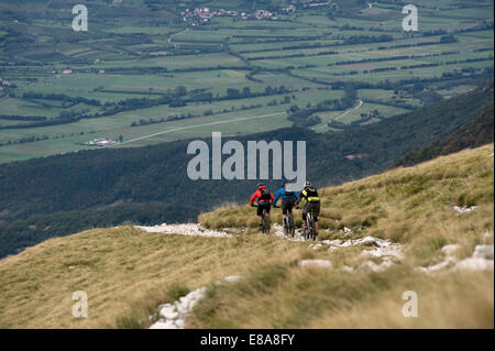 drei Mountainbiker auf dem Weg bergab, Vipava-Tal, Istrien, Nanos, Slowenien Stockfoto