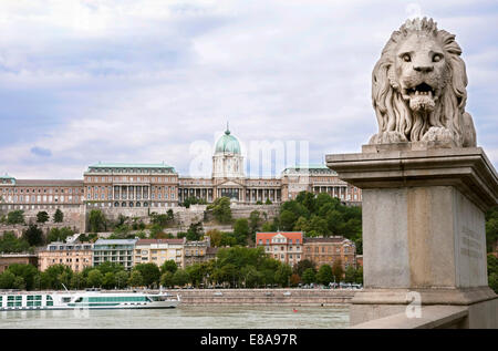 Lion Sculpure der Kettenbrücke über die Donau mit Schloss im Hintergrund, Budapest, Ungarn Stockfoto