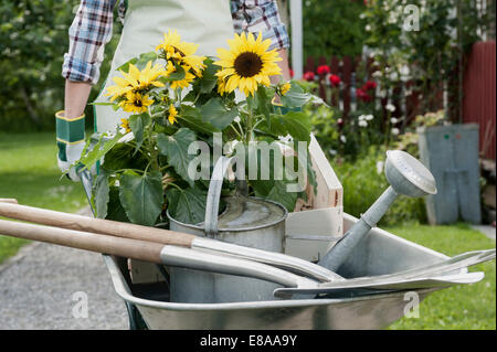 Detail Frau drängen Schubkarre Garten Stockfoto