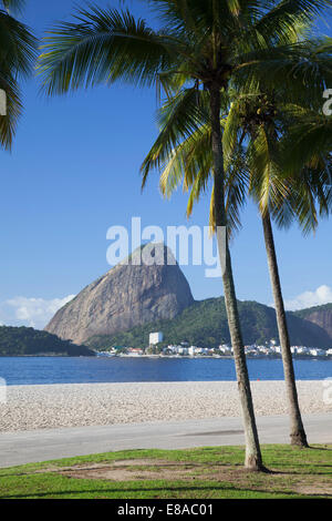 Flamengo Beach und Zuckerhut, Rio De Janeiro, Brasilien Stockfoto