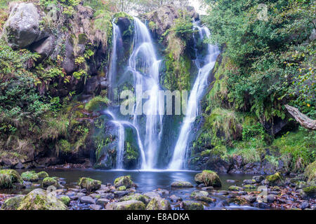 Posforth Gill-Wasserfall im Valley of Desolation, Whafedale Yorkshire Dales, UK Stockfoto