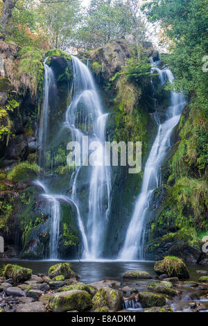 Posforth Gill-Wasserfall im Valley of Desolation, Whafedale Yorkshire Dales, UK Stockfoto