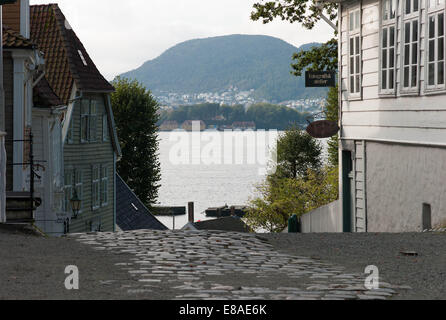 Alte norwegische Straße Stockfoto