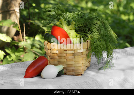 Korb mit Gemüse auf Tisch mit Tischdecke auf natürlichen Hintergrund platziert Stockfoto