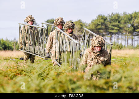 RIR Soldaten tragen Abschnitte von einer Fachkraft Bailey-Brücke, die sich eine Lücke von 10 m in weniger als 2 Minuten erstrecken kann. Stockfoto