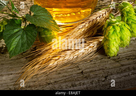 Stillleben mit Bier Hopfen und Gerste Stockfoto