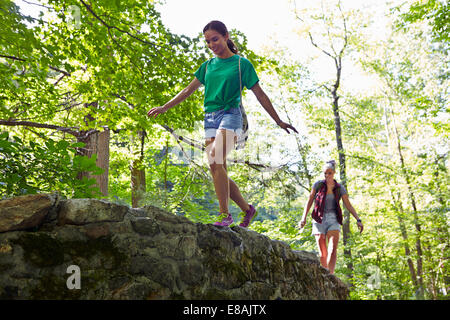 Wanderer im Wald Stockfoto