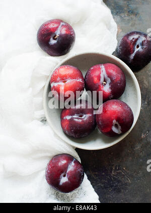 Frische Pflaumen, Stillleben Stockfoto