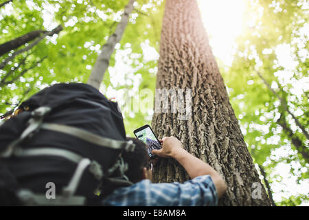 Menschen nehmen Foto von Baumstamm mit Kamera-Handy, niedrigen Winkel