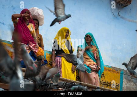 Landleben in Rajasthan, farbige Frauen in traditioneller Kleidung, Pushkar-See Stockfoto