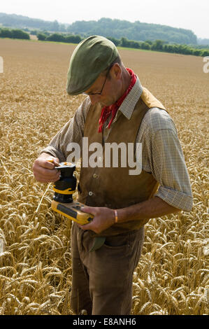 Landwirt im Weizenfeld Stockfoto