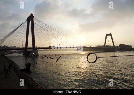 Die Willemsbrug in Rotterdam, Niederlande. Stockfoto