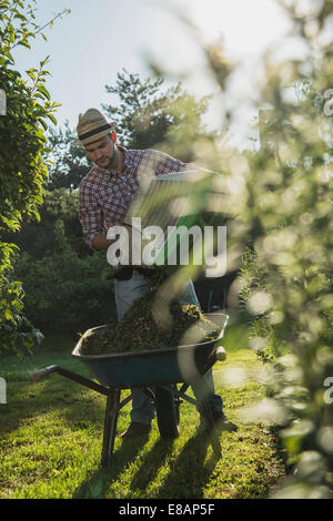 Gärtner mit Schubkarre Rasen schneiden Stockfoto